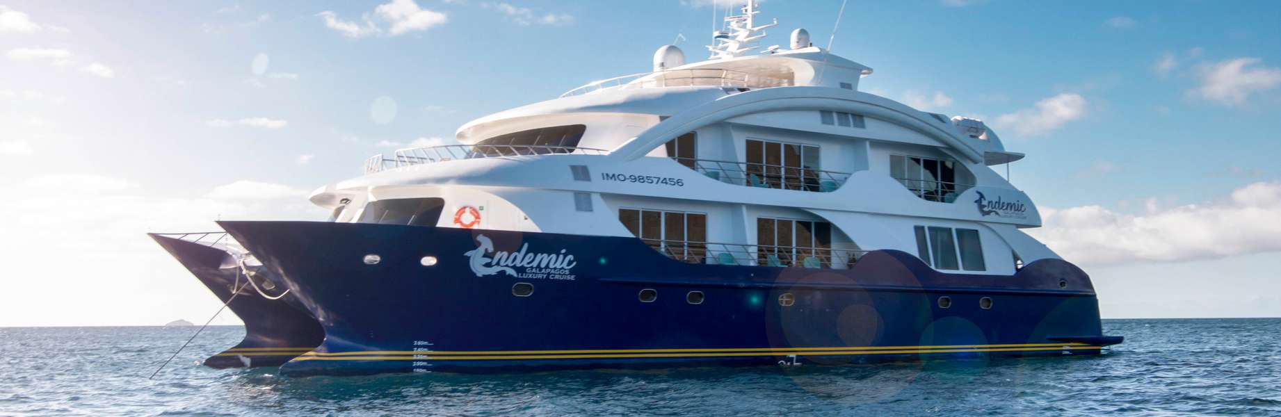 Catamarano a Motore Endemic Custom