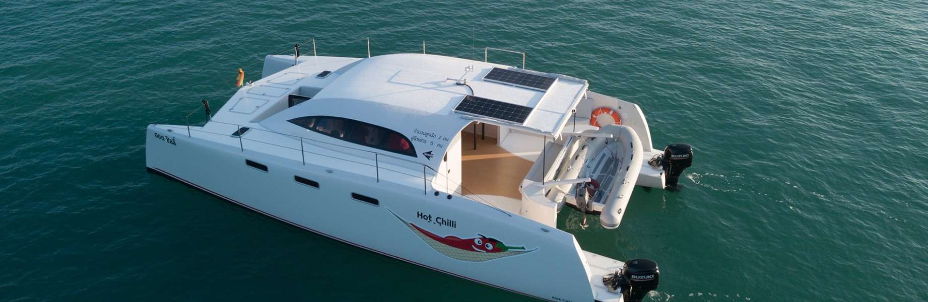 Catamaran à Moteur Stealth 11.8