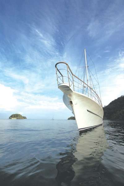 Bateaux à moteur SY Polaris