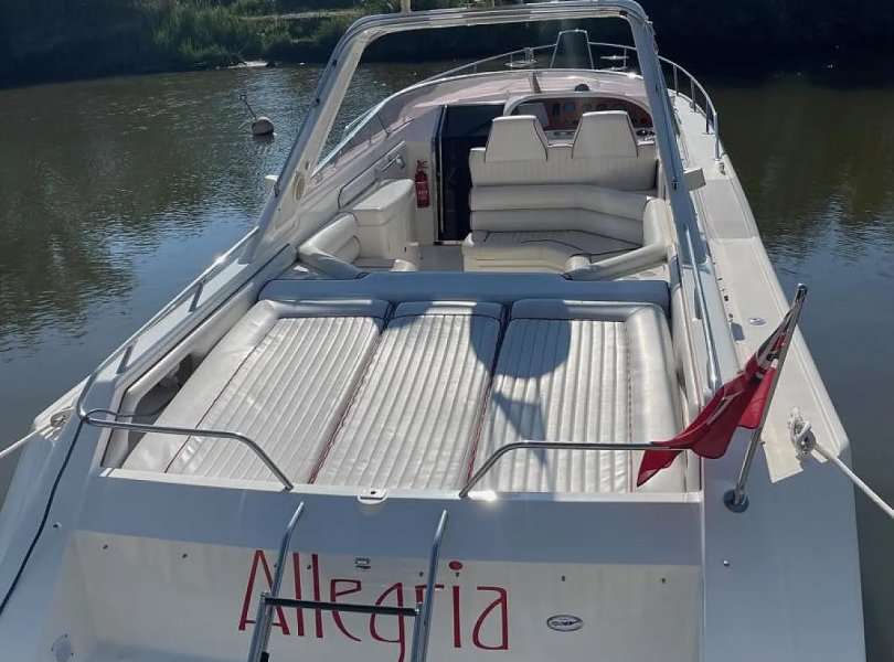 Bateaux à moteur Thunderhawk 43