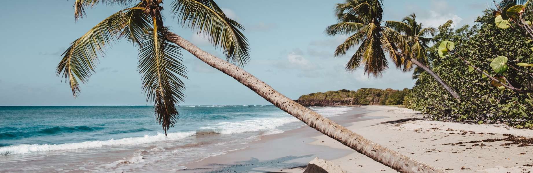 Découvrez la Martinique lors d'un séjour inoubliable en aqua lodge
