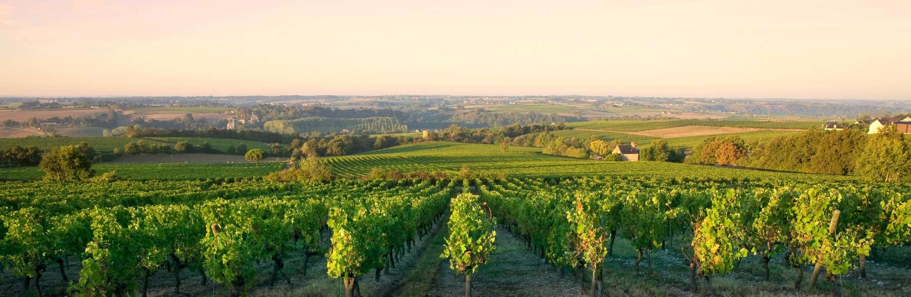 Un voyage original pour découvrir le terroir d'Aquitaine