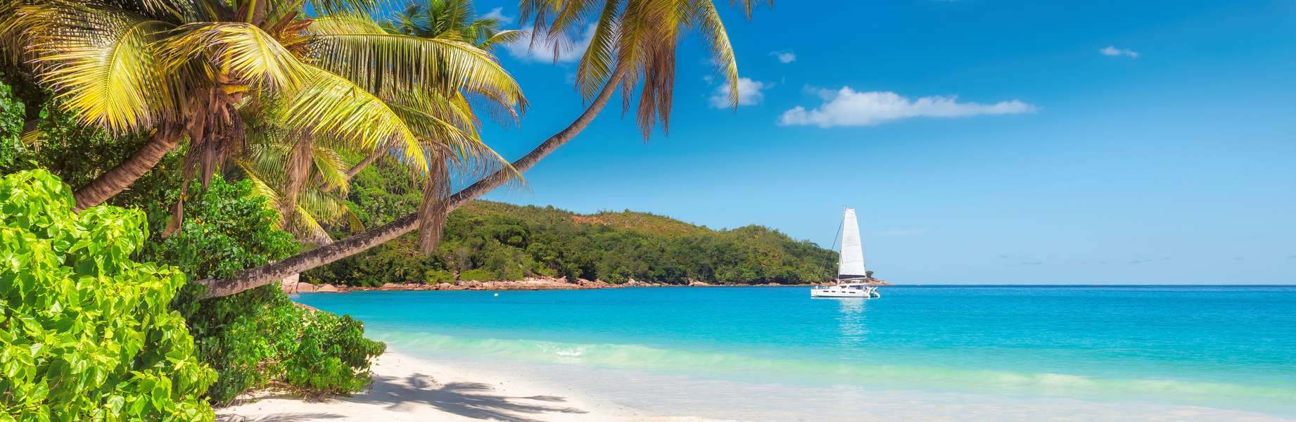 5 jours pour découvrir les joyaux naturels des Seychelles en catamaran