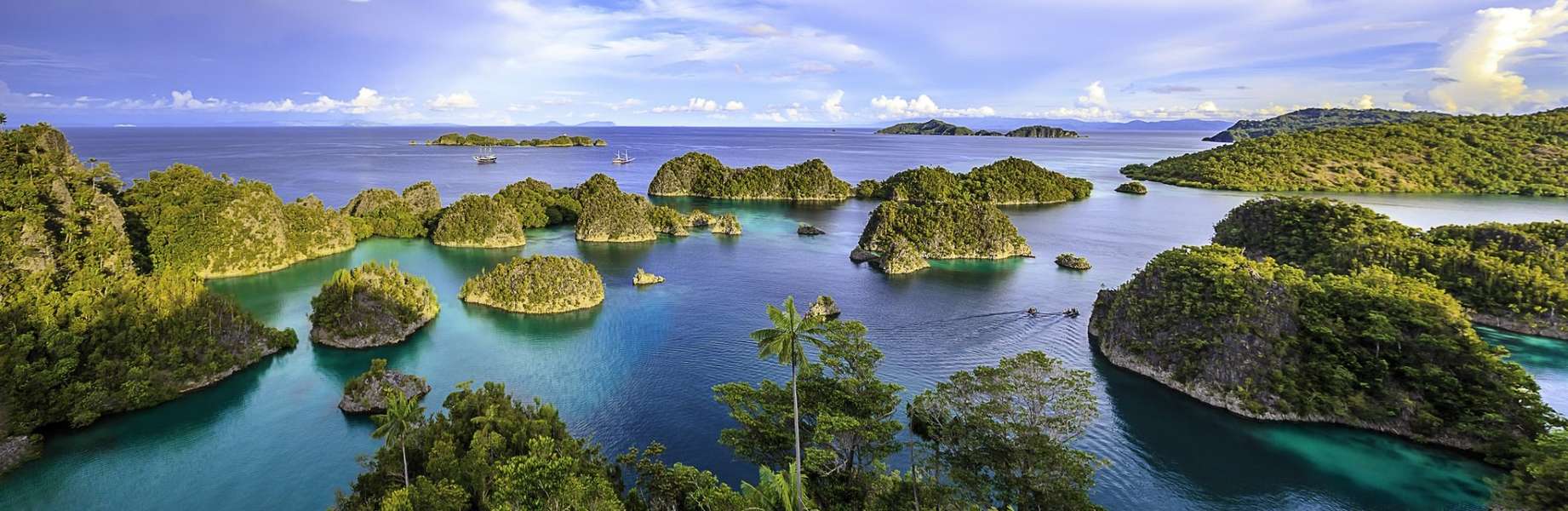15 jours de plongée dans l'archipel indonésien Raja Ampat