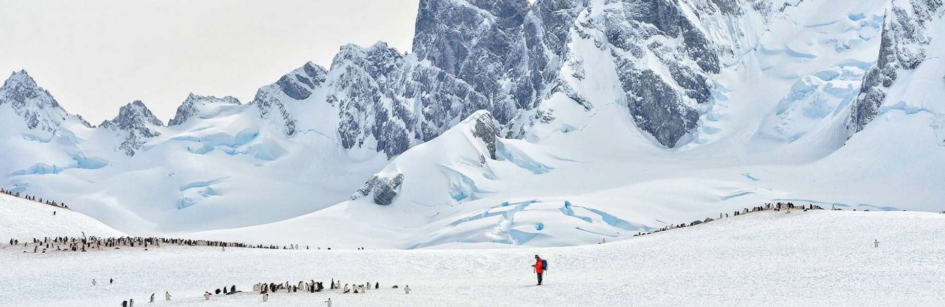 23 jours d'exploration dans l'une des parties les plus reculées du monde