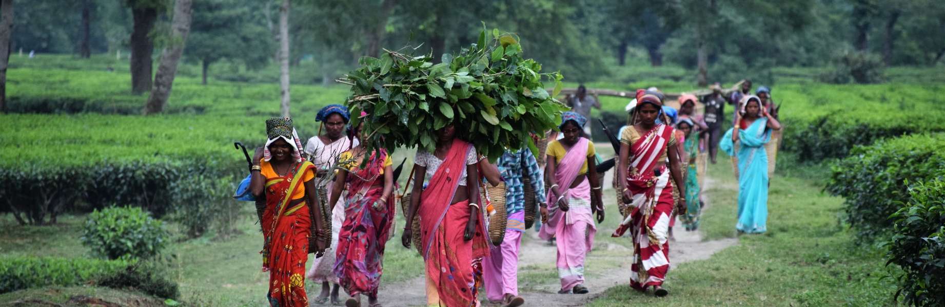 Explorez l'Inde, un pays aux multiples couleurs