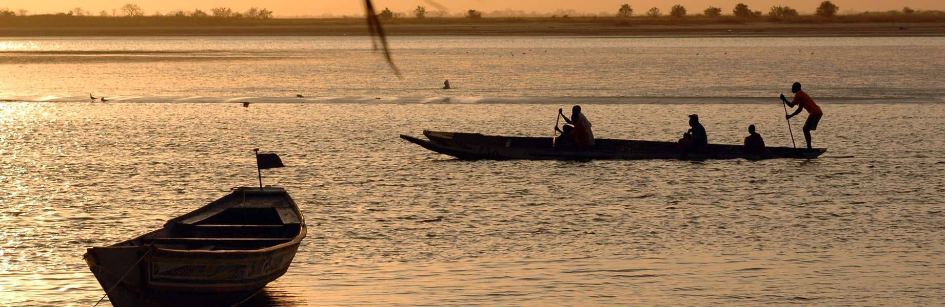 Du Sénégal à la Gambie : une croisière au cœur d’un fleuve mythique