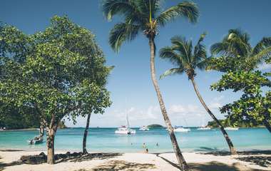 go to article: Der Yachtcharter verführt immer mehr Urlauber