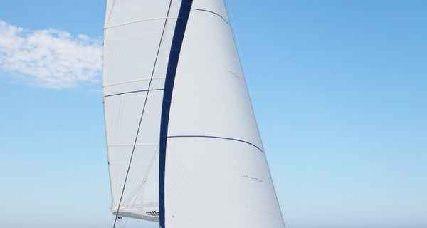 Catlante 600