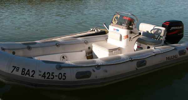 Valiant 520