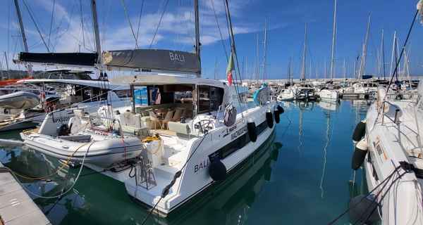 Bali Catsmart (2024)