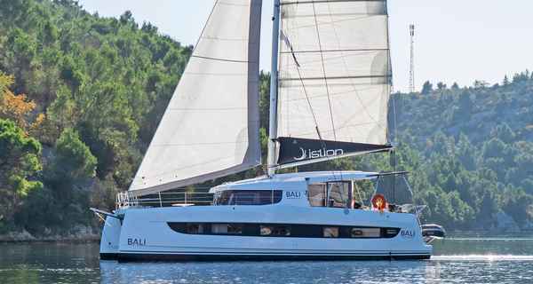 Bali Catsmart (2024)