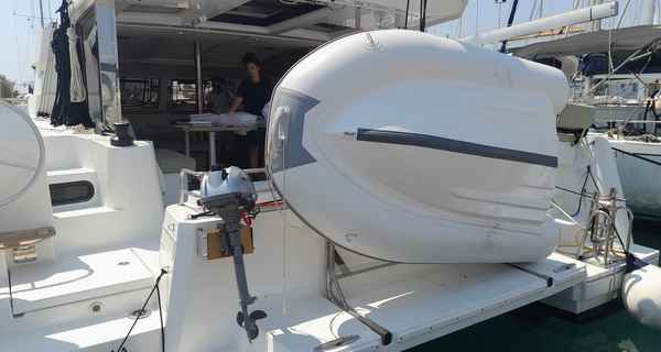 Bali Catsmart (2024)