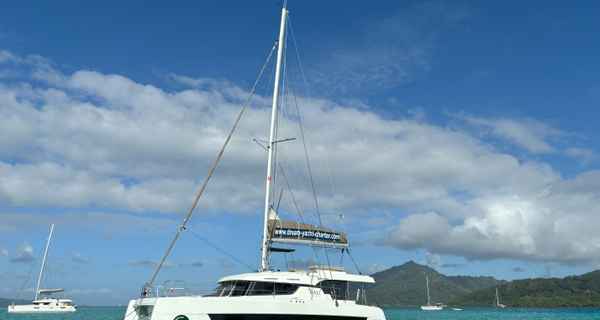 Bali Catspace Voile (2020)