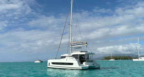 Bali Catspace Voile (2024)