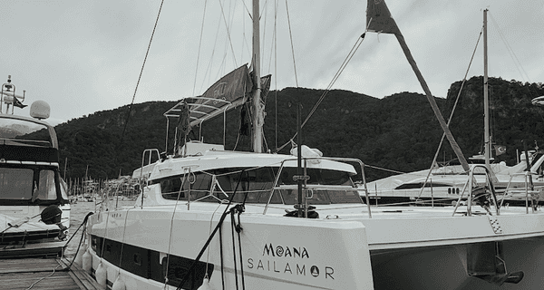 Bali Catspace Voile (2022)