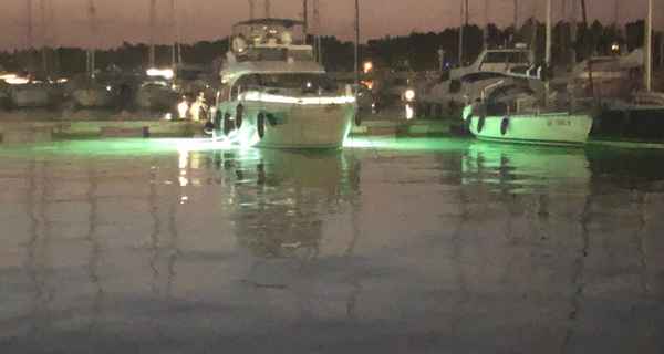 Virtess 420 Fly (2021)