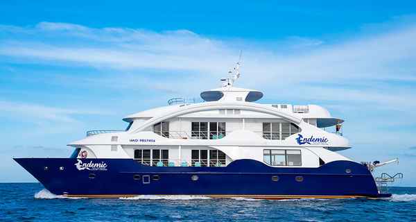 Endemic Custom (2018)