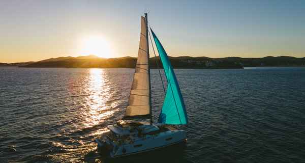 Saona 47 (2020)