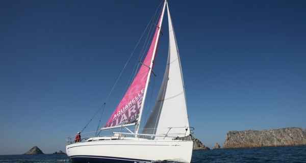 Bavaria 35 Match (2007)