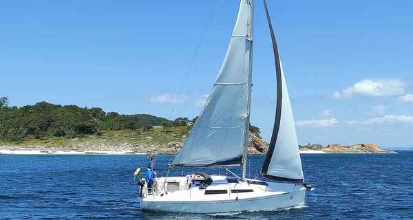 Hanse 315 (2017)