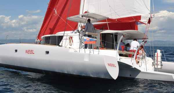 Neel 45 (2014)