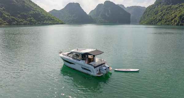 Merry Fisher 895 (2022)