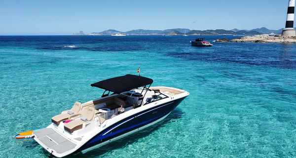 Sea Ray 290 (2018)