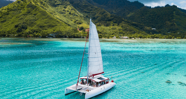 Ocean Voyager 53 (2019)