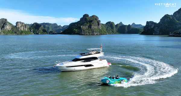 Prestige 520 (2019)