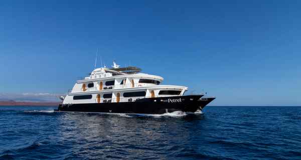 Petrel Custom (2015)