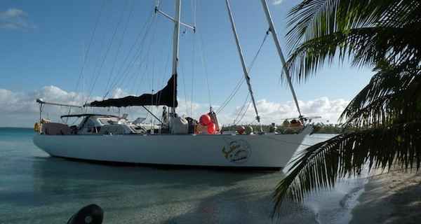 Sauvage 60 Sloop (1995)