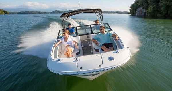 Sea Ray 290 (2018)