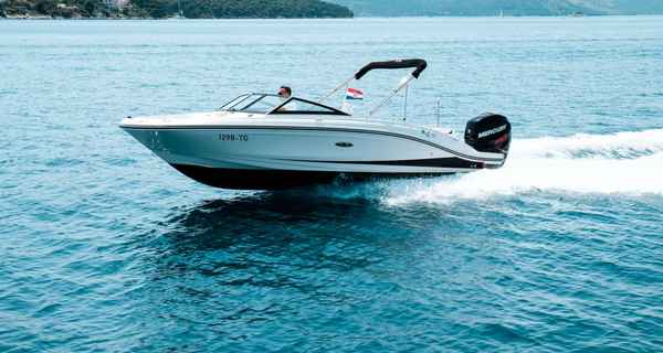 Sea Ray SPX 210 (2019)