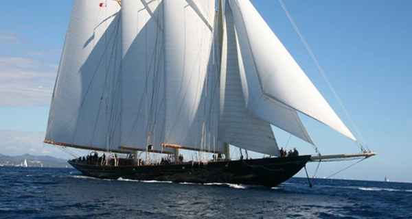 Van der Graaf 211 (2010)