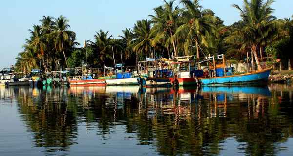 Yachtcharter Mirissa Fisheries Harbour
