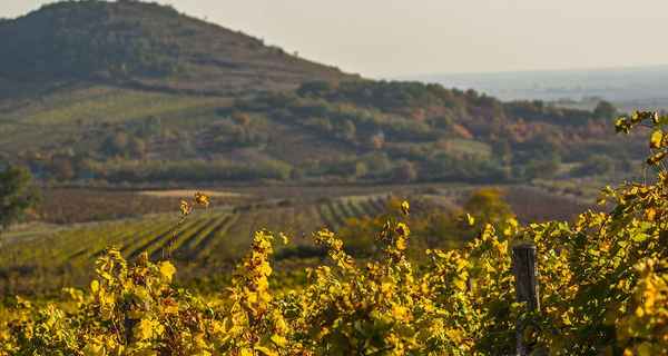 Czarter jachtów Tokaj