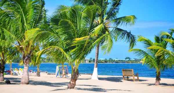 Katamaran czarter Placencia