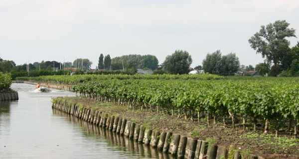 Location bateau Aalsmeer