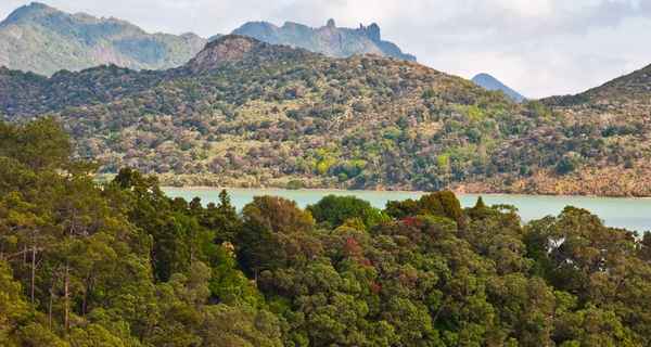 Alquiler Catamarán Northland