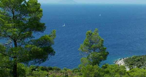 Halbstarres Boot mieten Vis
