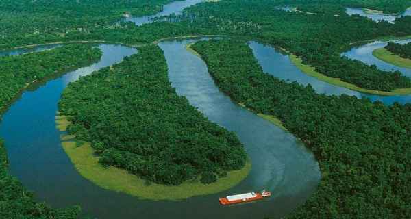 Croisière Manaus
