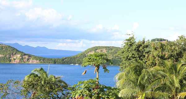 Caribbean