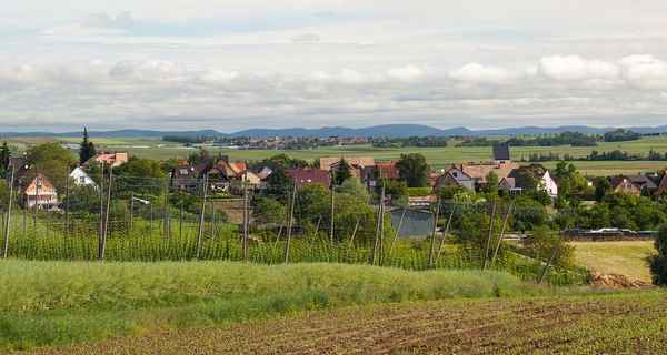 Rejs Waltenheim-sur-Zorn