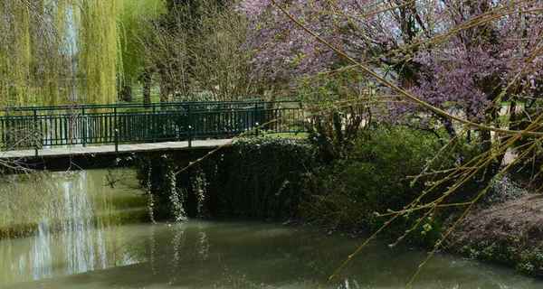 Motorboot mieten Dompierre-sur-Besbre