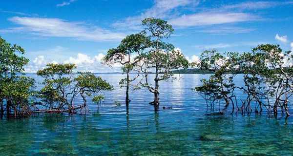 Yachtcharter Andamanen