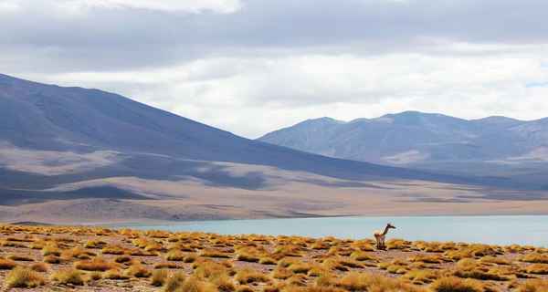 Rejs Chile