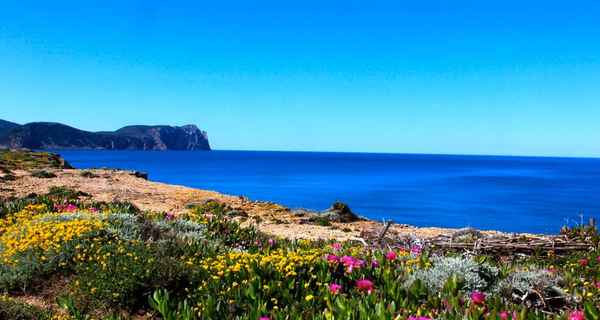 Noleggio barca Sardegna