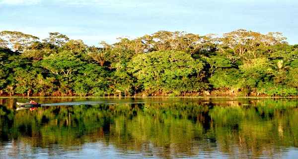 Alquiler Catamarán Amazonia