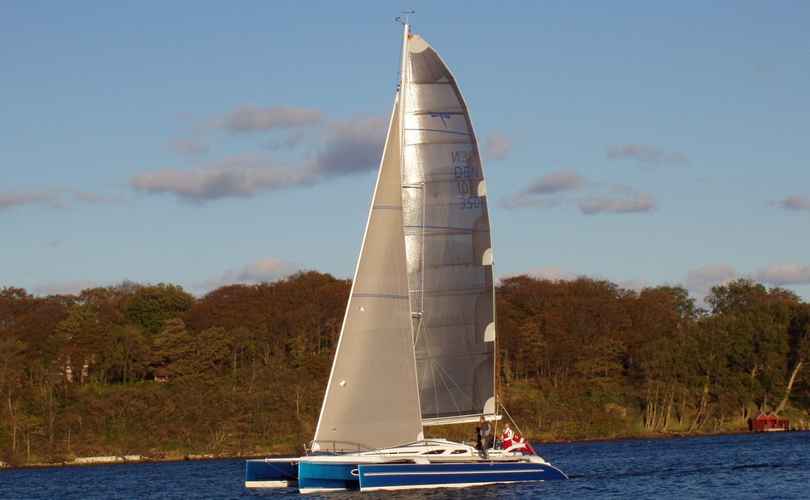 Dragonfly 35